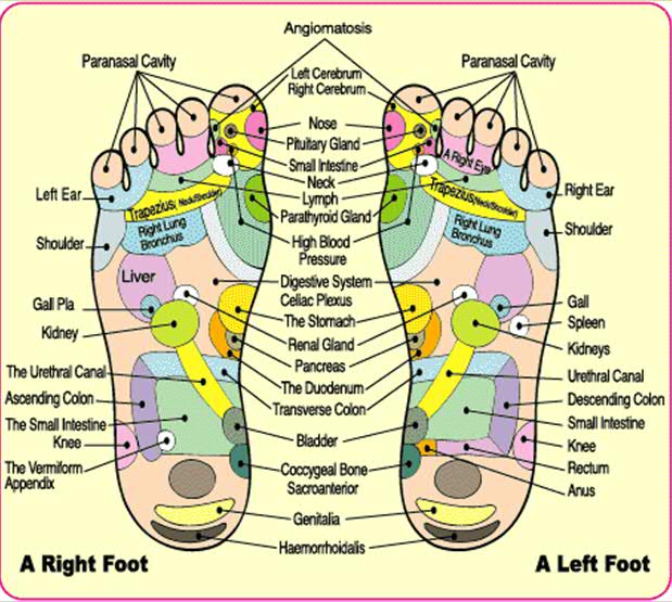 Foot Reflexology Oil Usage Chart